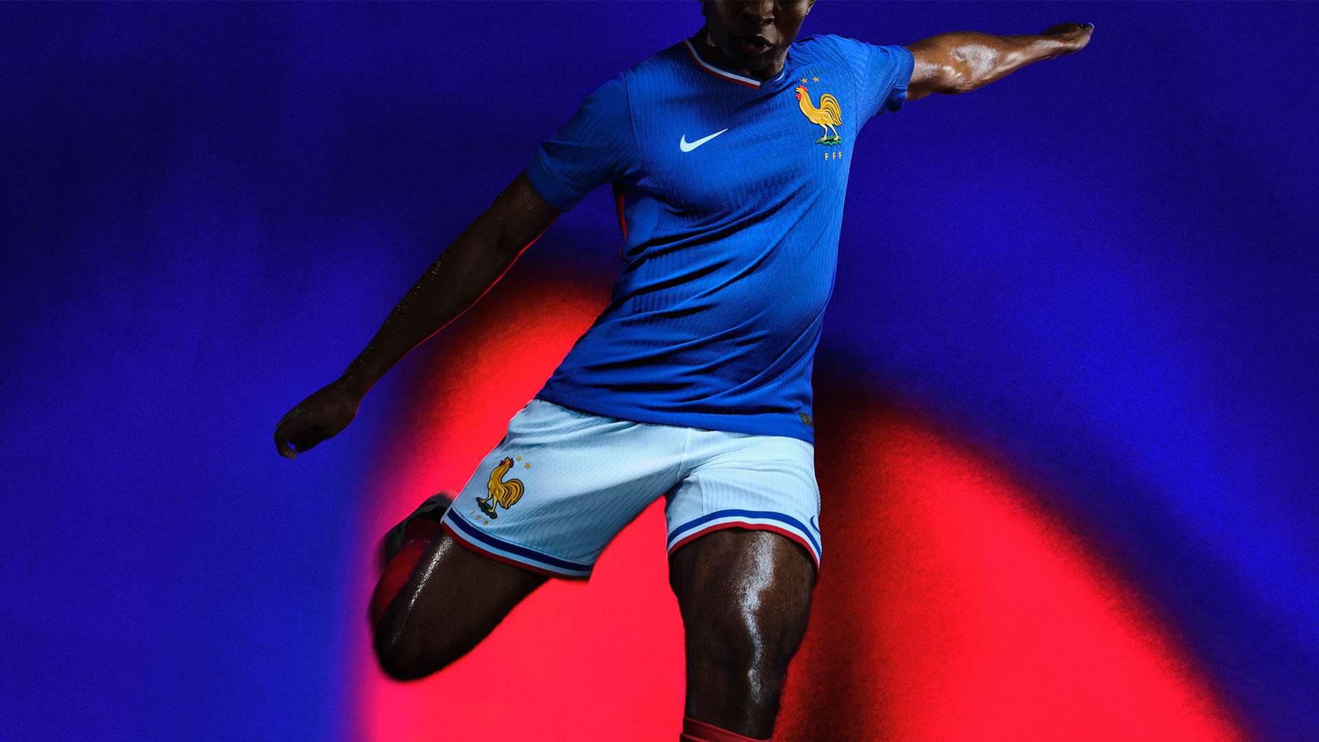 我们将详细 我们将详细